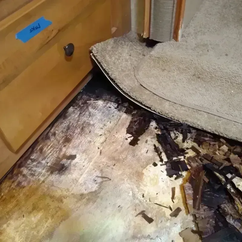 Wood Floor Water Damage in Kennewick, WA